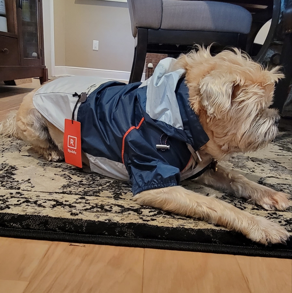 ❤️ Host Pick ❤️ Lightweight Dog Hooded Rain Jacket M - Picture 8 of 16
